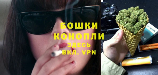 шишки Арсеньев