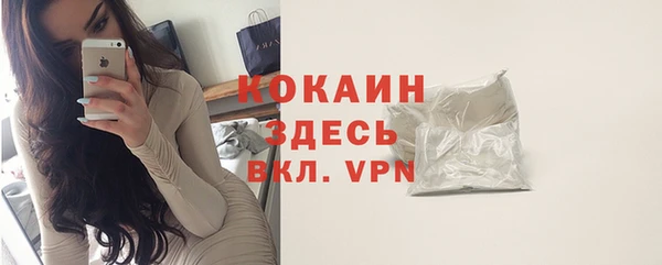 шишки Арсеньев