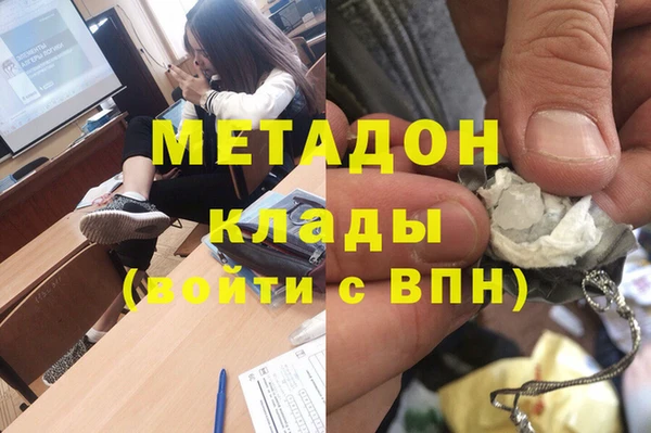 шишки Арсеньев
