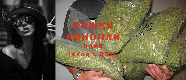 шишки Арсеньев