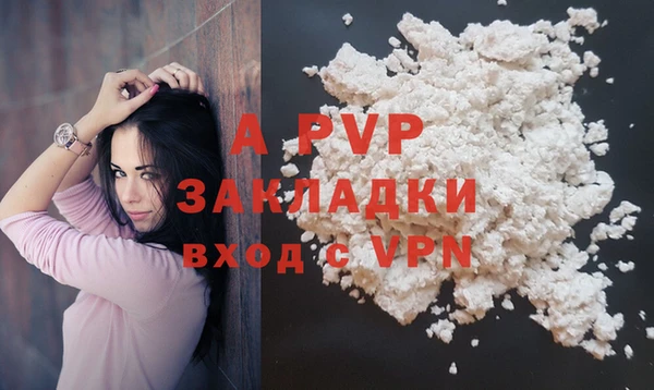 стаф Алексин