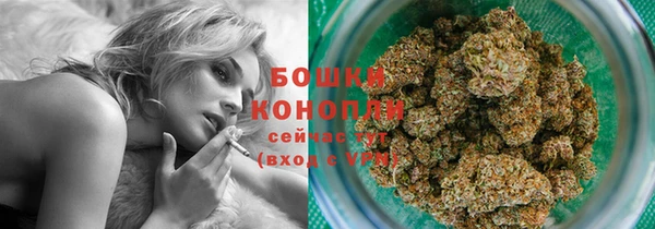 шишки Арсеньев
