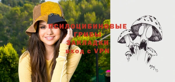 шишки Арсеньев