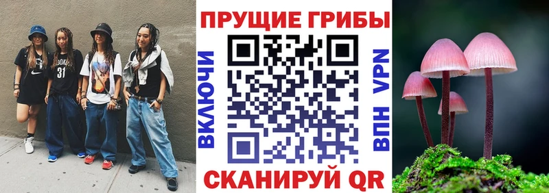 Псилоцибиновые грибы GOLDEN TEACHER  дарнет шоп  Дорогобуж 
